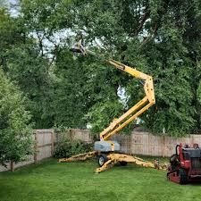 Best Leaf Removal  in Green Springs, OH