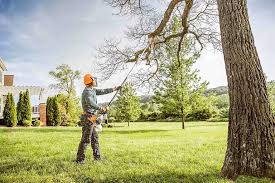 How Our Tree Care Process Works  in  Green Springs, OH