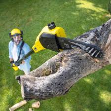 Lawn Edging in Green Springs, OH